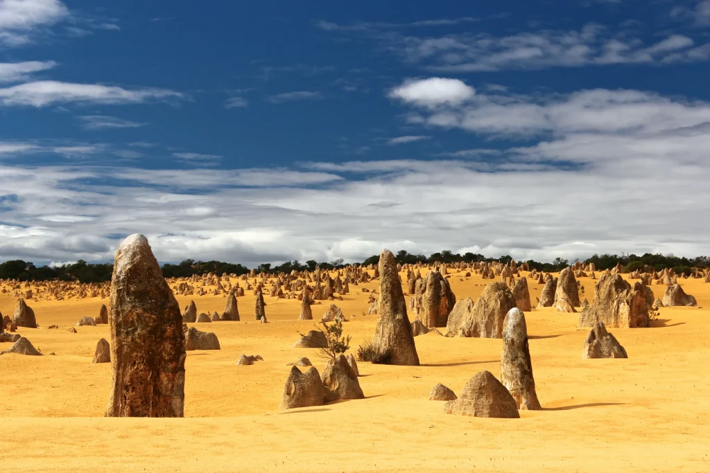 Pinnacles desert, visiter Perth