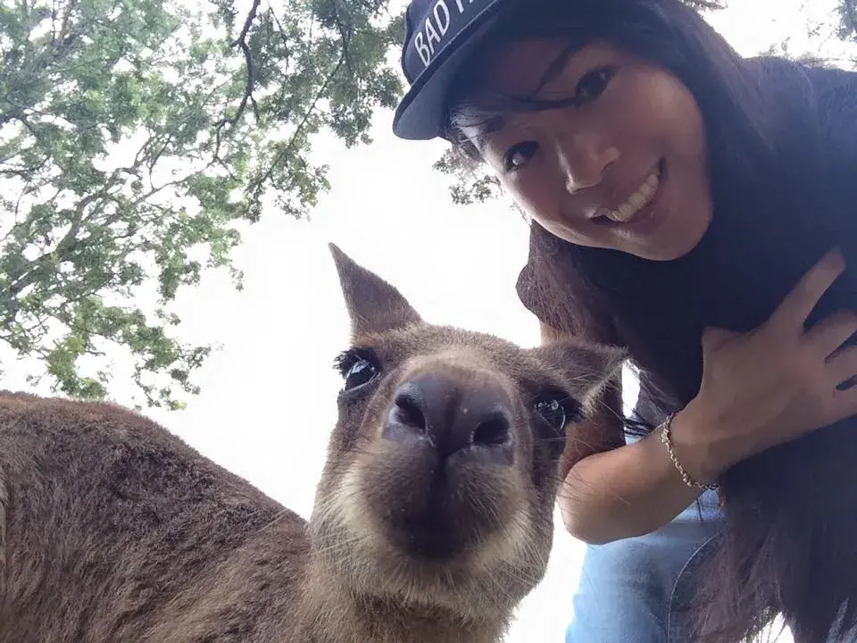Selfi kangourou - fun fact