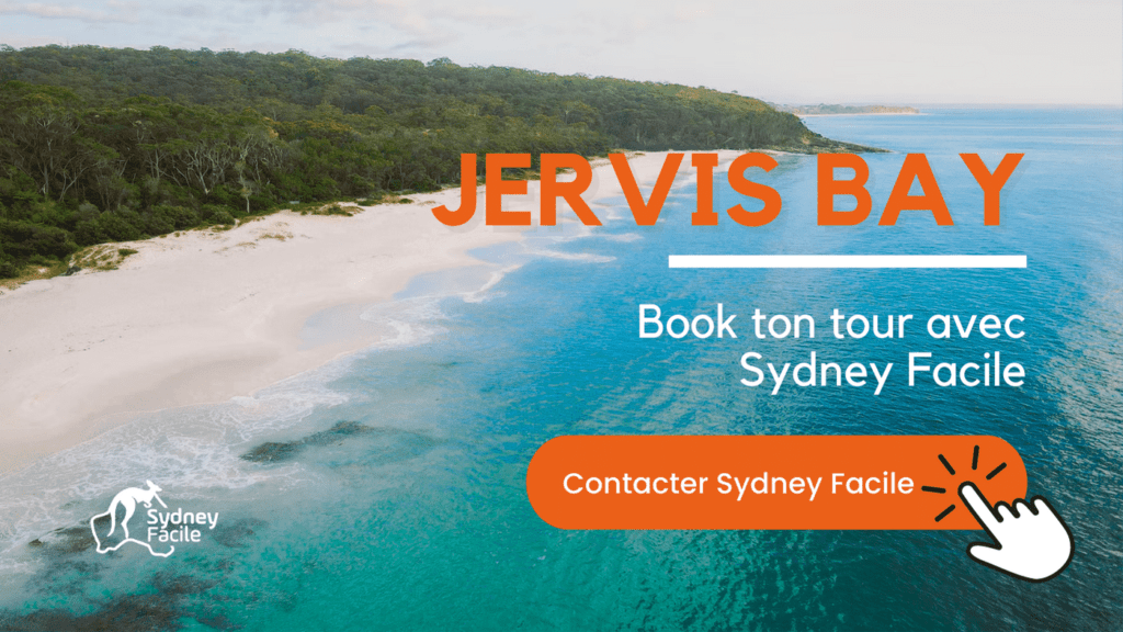 tour Jervis Bay Sydney Facile